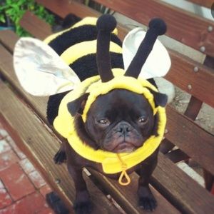 Meet your Posher, Estelle